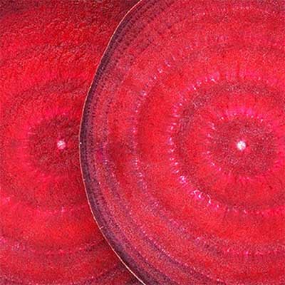 Close-up cross section of red beats.